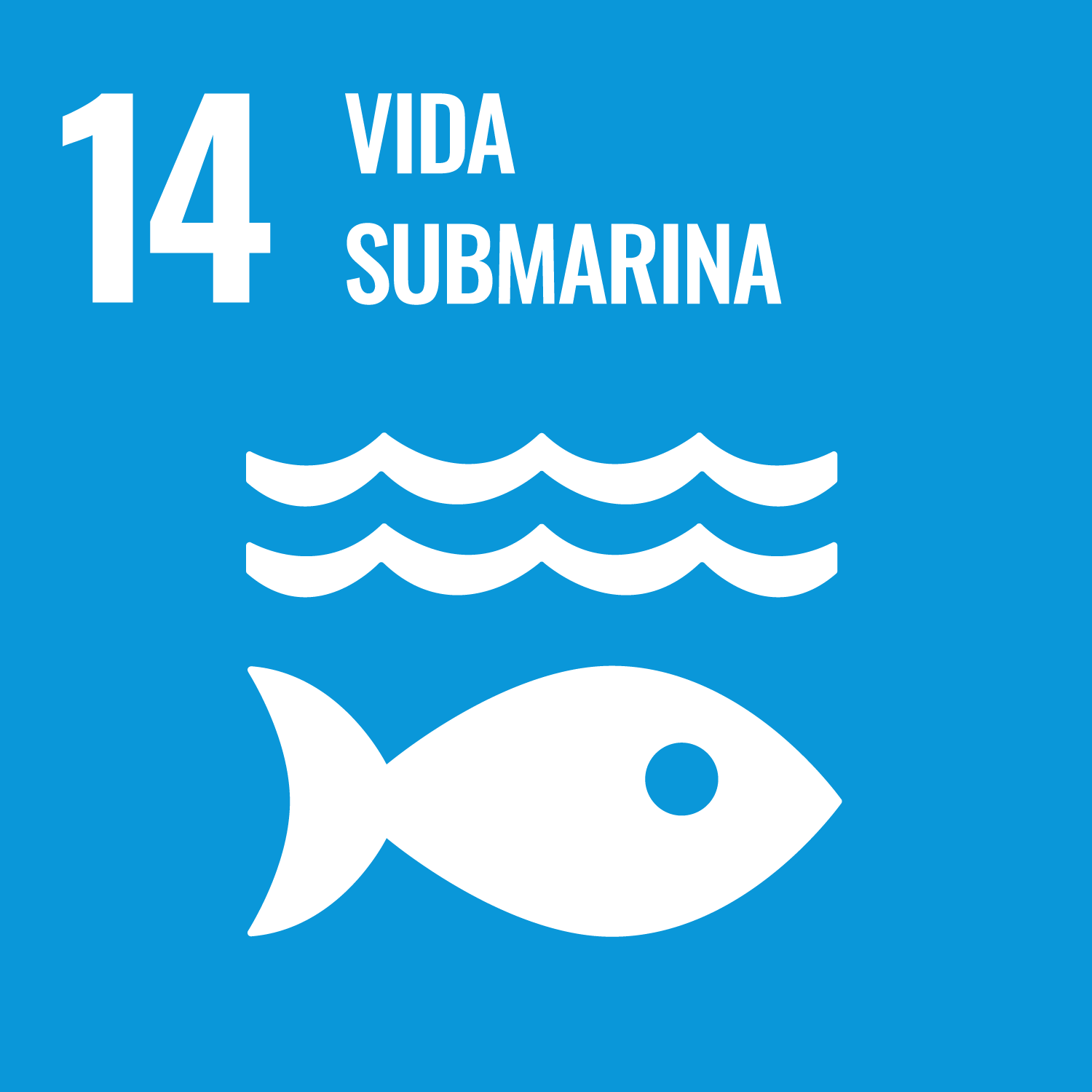 Objetivo 14: Conservar y utilizar sosteniblemente los océanos, los mares y los recursos marinos